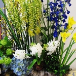Floral display